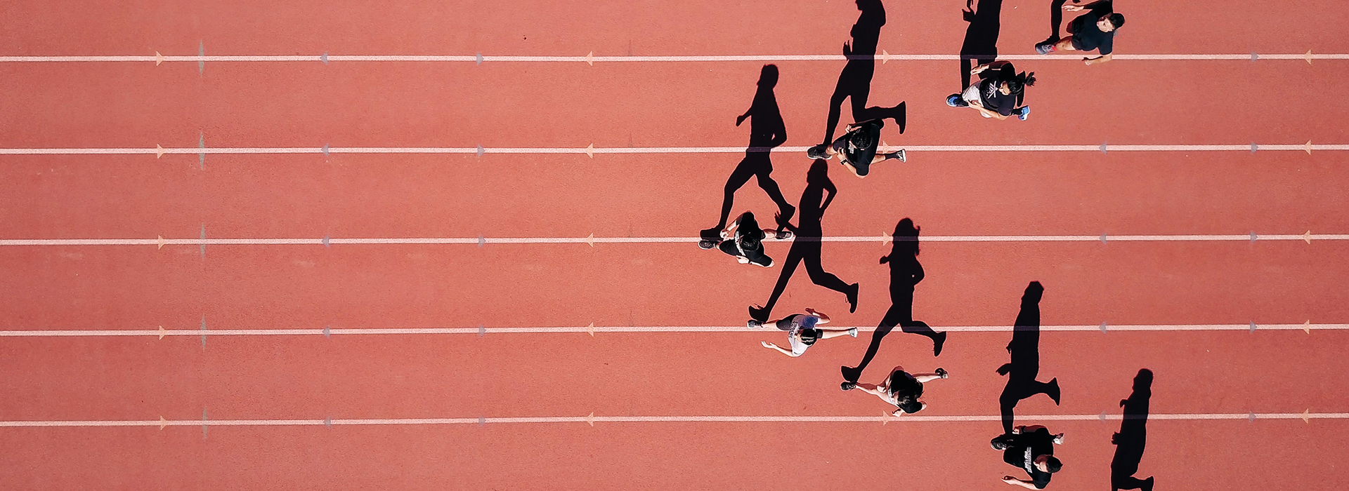 �ò�����(�й�)���޹�˾����