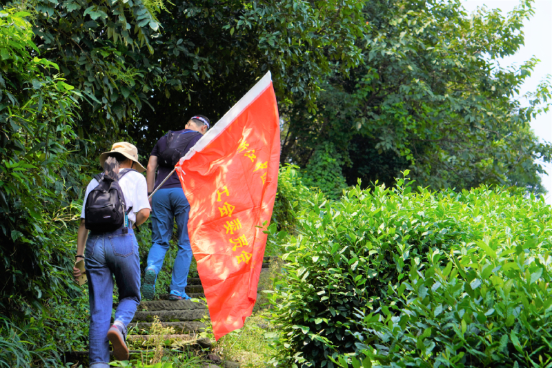 �ò�����(�й�)���޹�˾����