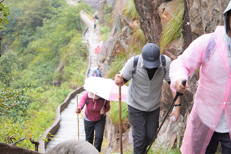 �ò�����(�й�)���޹�˾����