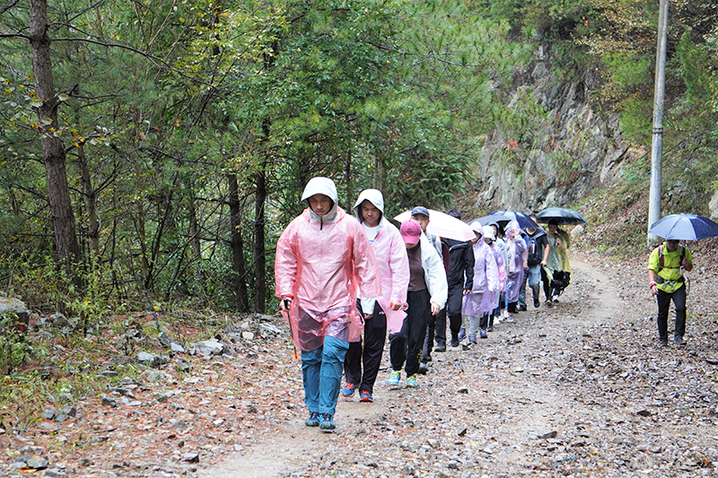 �ò�����(�й�)���޹�˾����