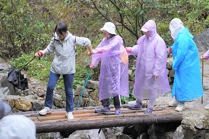 �ò�����(�й�)���޹�˾����