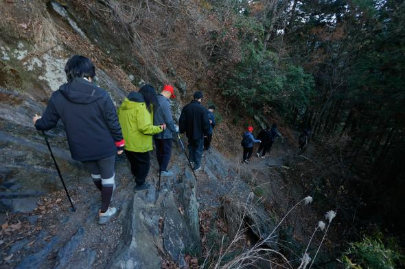 �ò���������